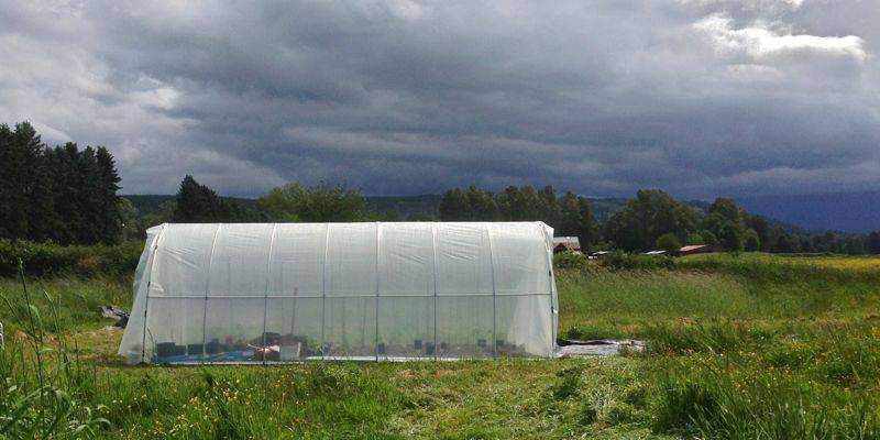 Hoop house ready for a storm