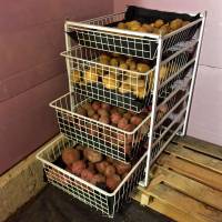 Potatoes in the root cellar