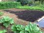 garden:cultivate:compost:img_1155.jpg