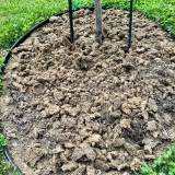 Manure became rigid