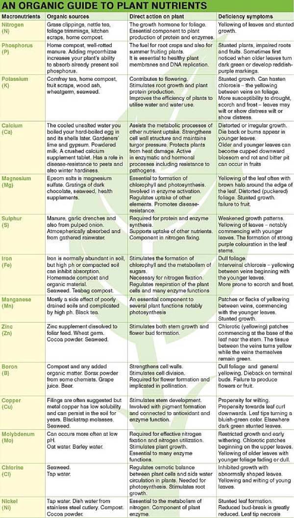Minerals use and evidence of deficiency