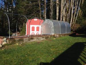 Second try at low tents on the raised bed