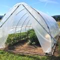 hoophousetomatoes13.jpg