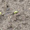 img_1150_2159176dw.jpg