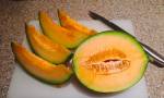 Oregon Delicious melon