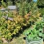 img_6253.jpeg